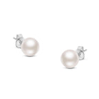 14K Gold White Saltwater Akoya Pearl Stud Earrings AAA+ Quality
